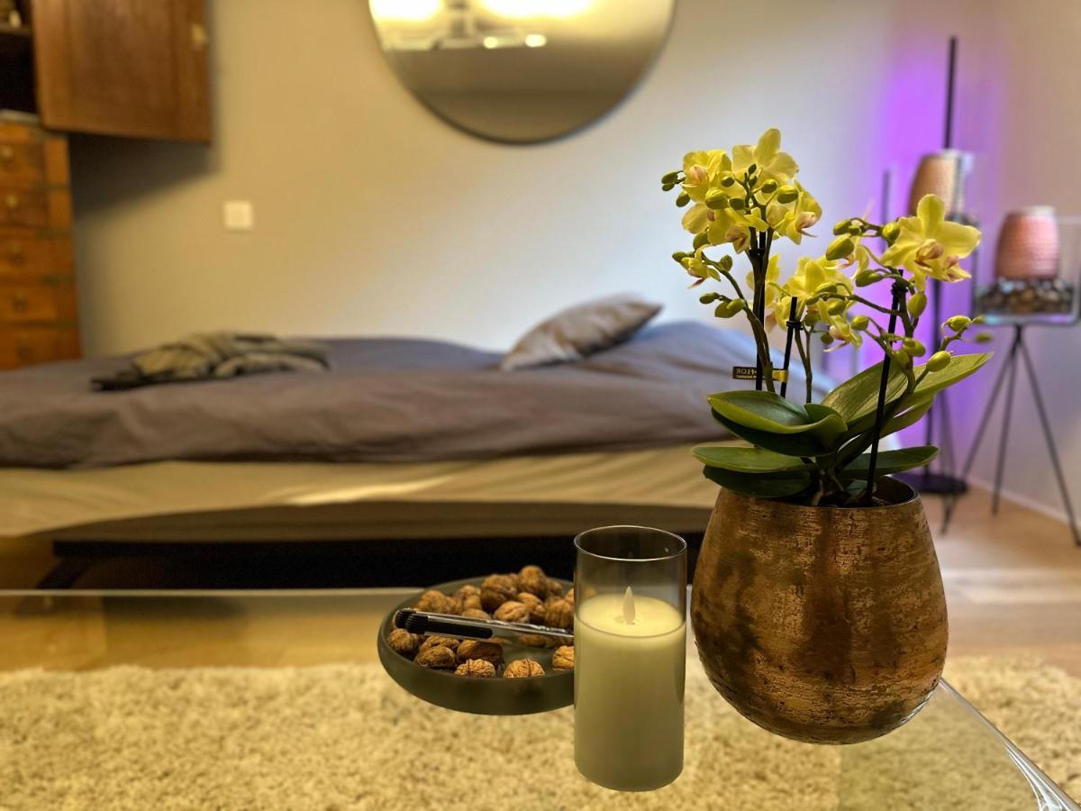 Villa Sweetwater Privé Wellness à Oud-Heverlee Extérieur photo